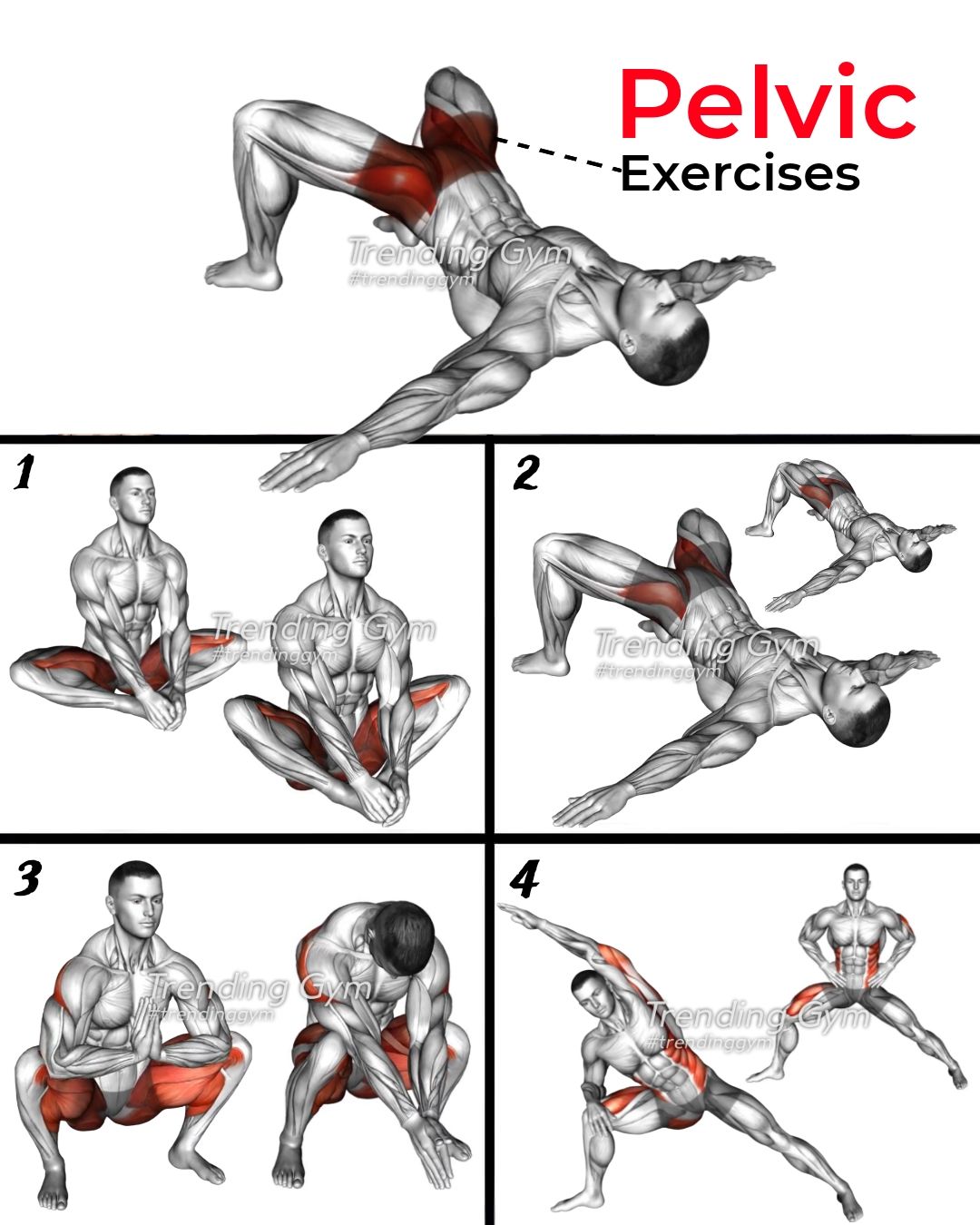 Pelvic Floor Exercises Routine